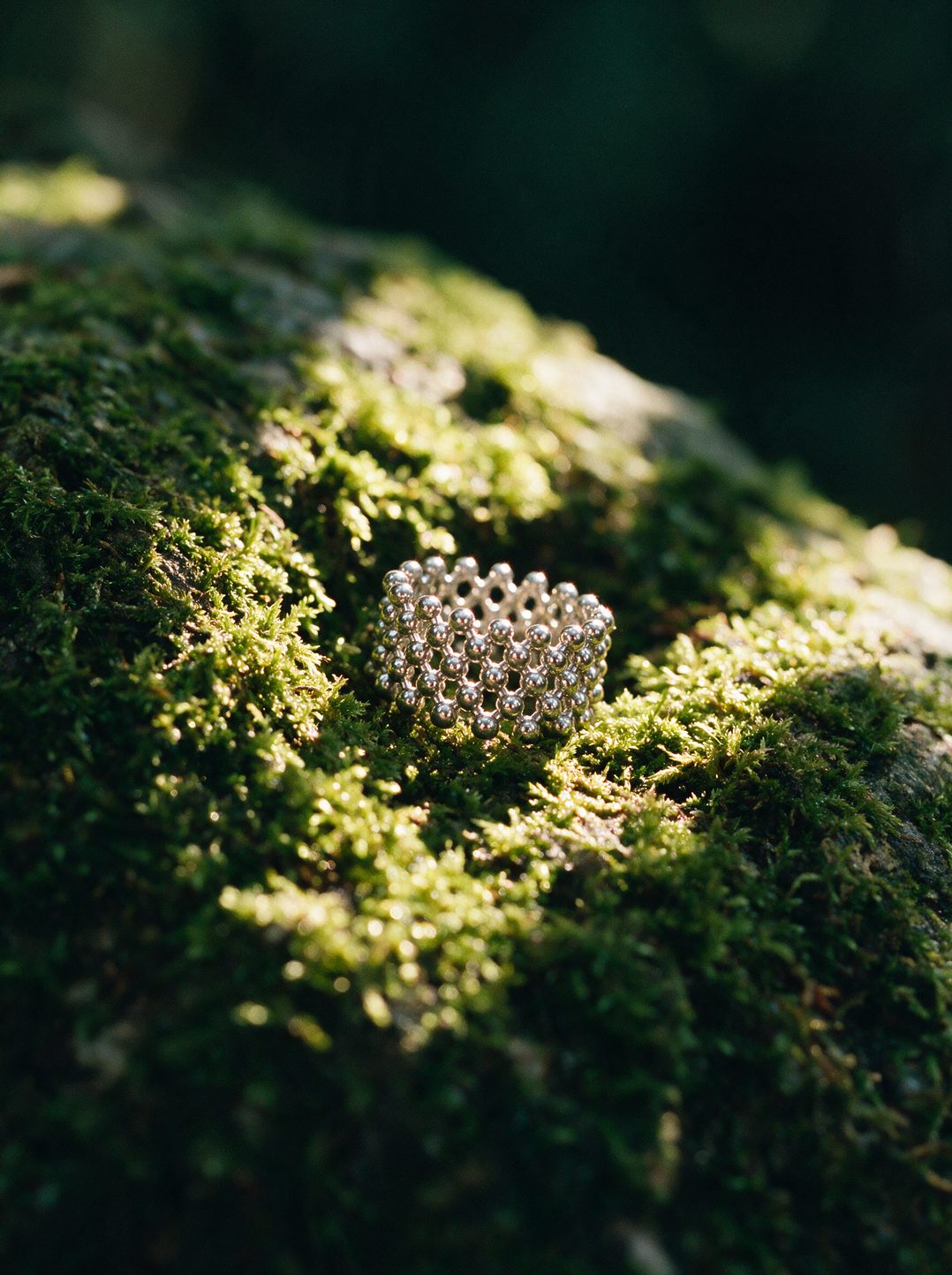 Lattice ring resting on moss